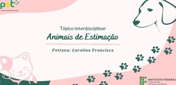 Animais-de-Estimação