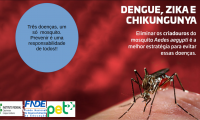 Dengue, Zika e Chikungunya. Três em um só mosquito!