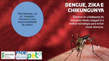 dengue-topicp